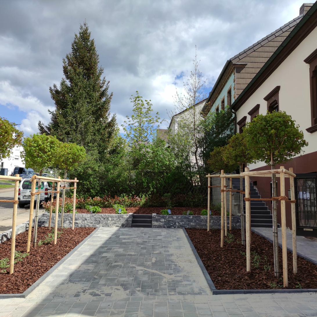 Vorgarten mit Pflasterweg und Baumpflanzung